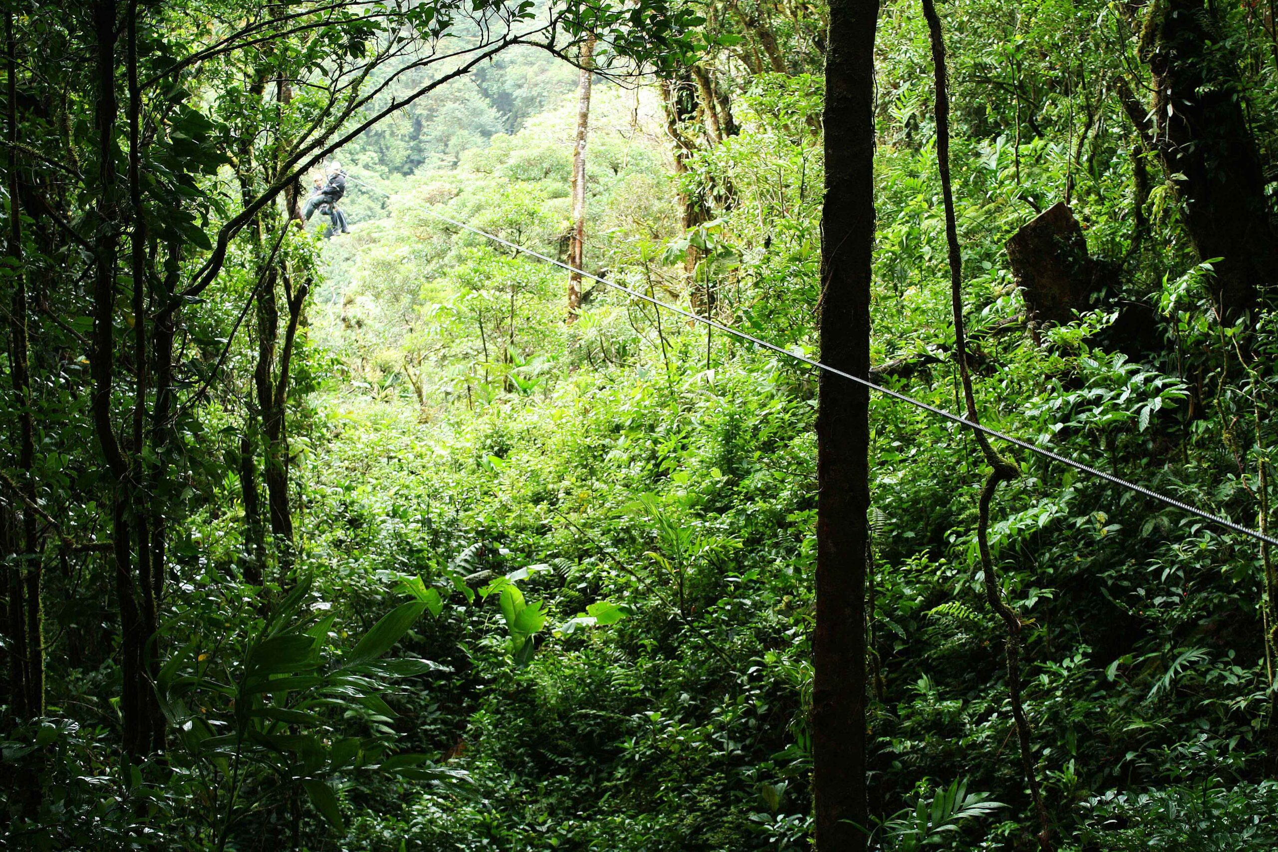 ZipLining: An Amazing Adventure!